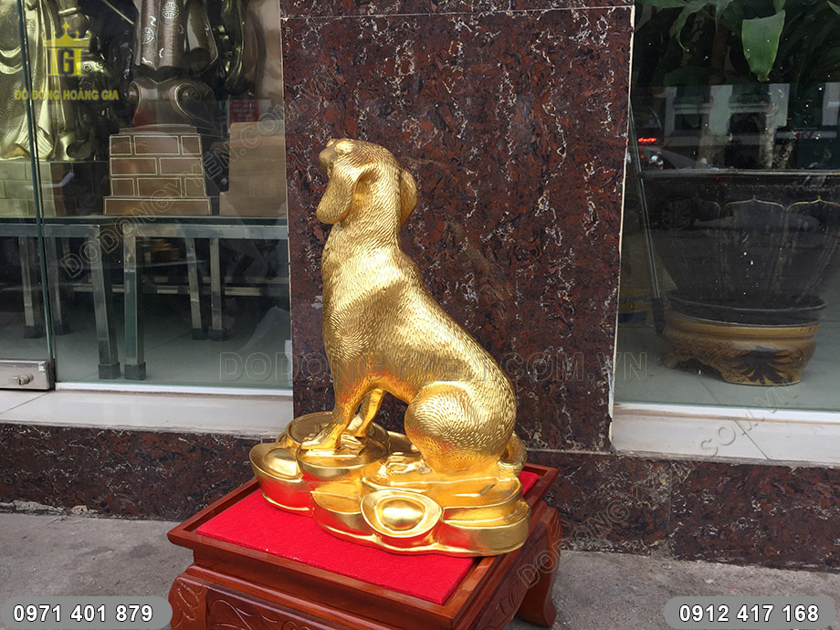 ch&oacute; bằng đồng d&aacute;t v&agrave;ng